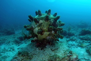 Hughes Subsea awarded UXO contract for East Anglia Three wind farm